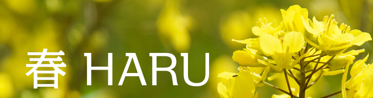 「春 HARU」がテーマの写真素材一覧
