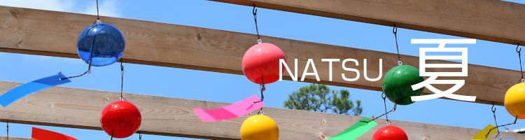 「夏 NATSU」がテーマの写真素材一覧